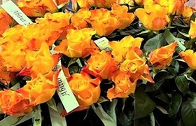 AbiturientInnen geben zurück: zamGFunden wird für 1 Jahr gesponsert!
